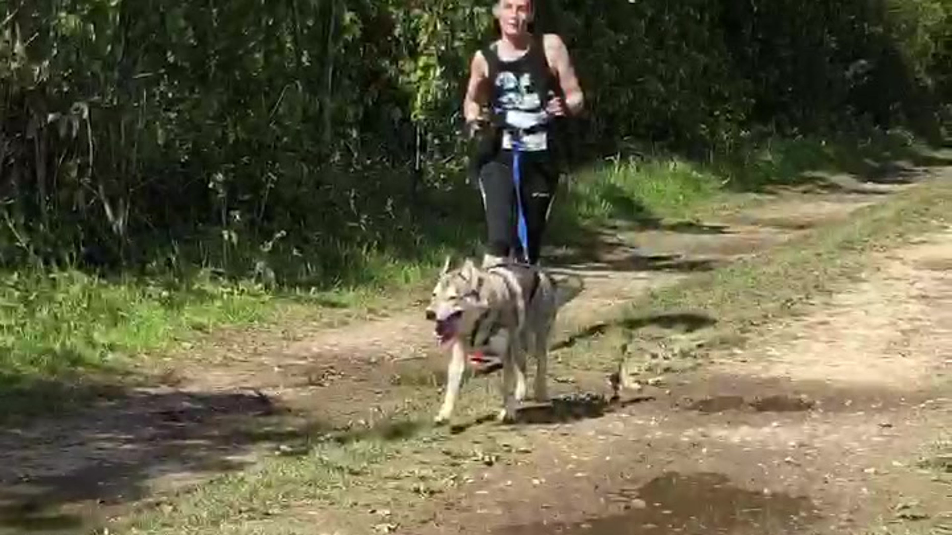 Toutes les vidéos